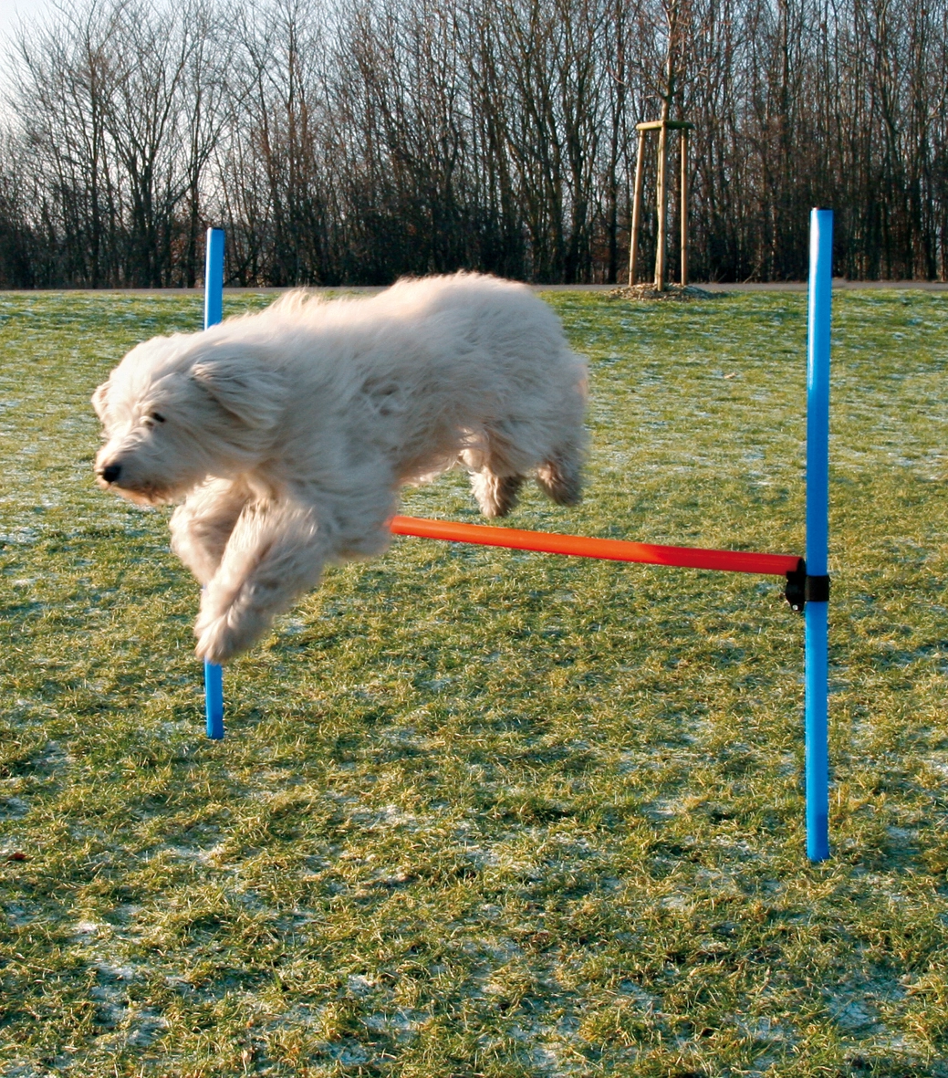 Trixie Agility Hurdle - springtræning til hunde